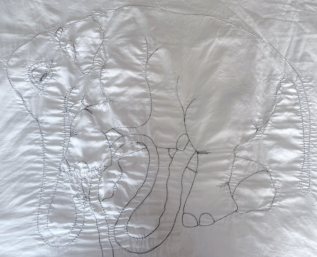 uhuru elephant