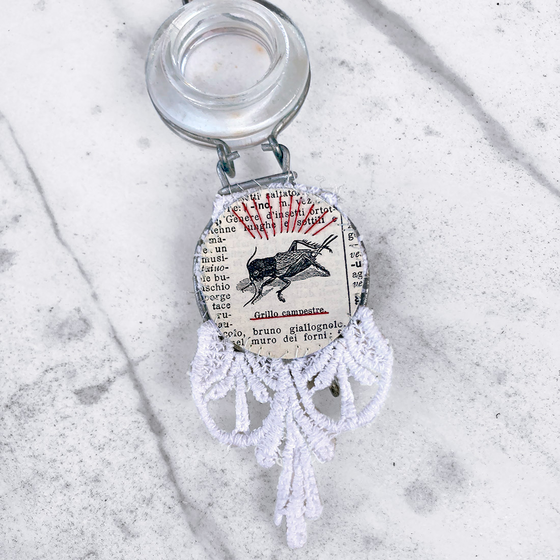 ✦ Un grillo per la testa - immagine 2